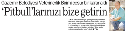 Pitbull larinizi bize getirin | Haber Ekspres vom 03.07.2010