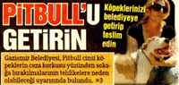 Pitbull U Geterin | H&uuml;rryyet Yzmyr vom 03.07.2010