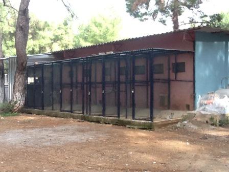 hilfe für leben | Katzenhaus Renovierung