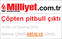 Milliyet zur Kampfundhysterie