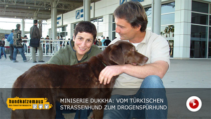 Letzte Folge der Mini-Serie &uuml;ber den Aufstieg eines t&uuml;rkischen Stra&szlig;enhundes zum Drogenfahnder