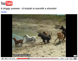 A doggy Summer | Ungarn